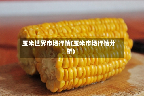 玉米世界市场行情(玉米市场行情分析)-第2张图片