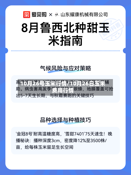 10月26号玉米行情/10月26日玉米费用行情