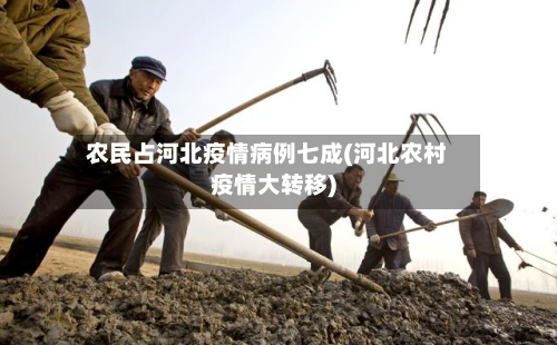 农民占河北疫情病例七成(河北农村疫情大转移)-第2张图片