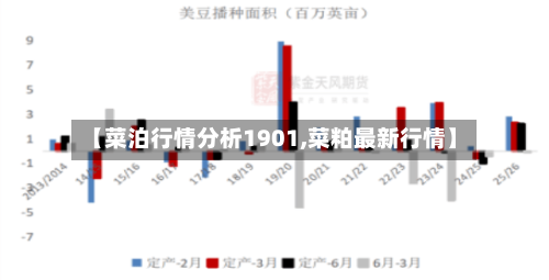 【菜泊行情分析1901,菜粕最新行情】