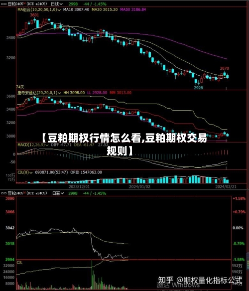 【豆粕期权行情怎么看,豆粕期权交易规则】