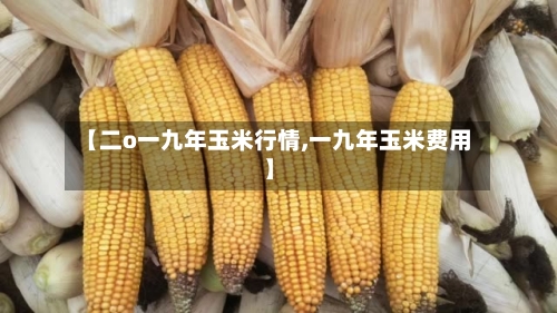 【二o一九年玉米行情,一九年玉米费用】-第3张图片