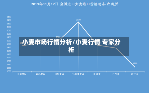 小麦市场行情分析/小麦行情 专家分析