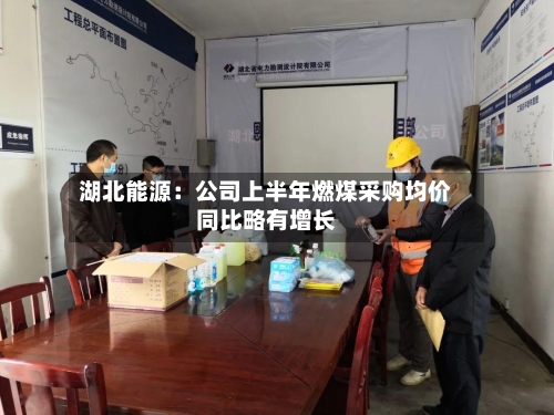 湖北能源：公司上半年燃煤采购均价同比略有增长