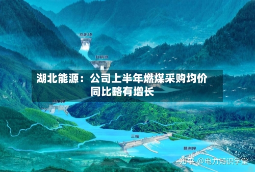 湖北能源:公司上半年燃煤采购均价同比略有增长-第2张图片