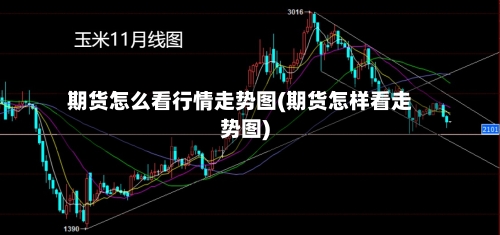 期货怎么看行情走势图(期货怎样看走势图)
