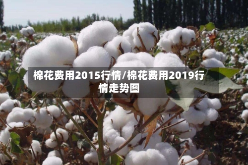棉花费用2015行情/棉花费用2019行情走势图