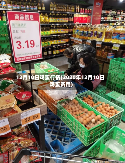 12月10日鸡蛋行情(2020年12月10日鸡蛋费用)