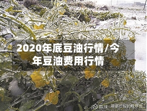 2020年底豆油行情/今年豆油费用行情
