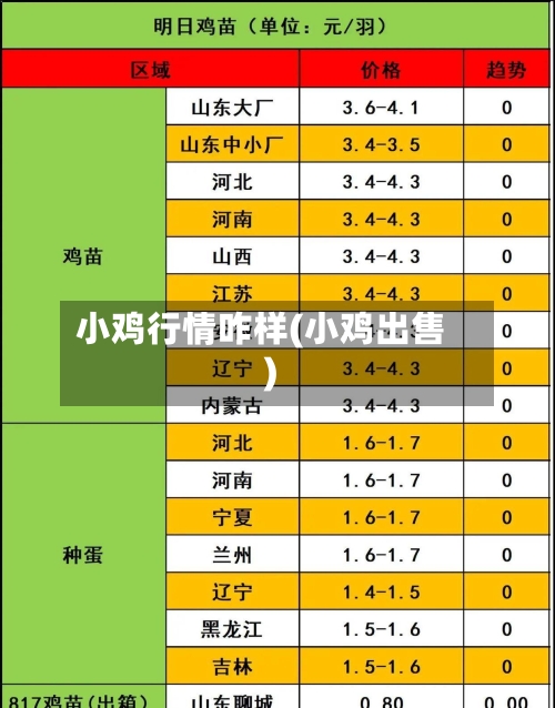 小鸡行情咋样(小鸡出售)-第2张图片
