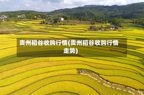 贵州稻谷收购行情(贵州稻谷收购行情走势)