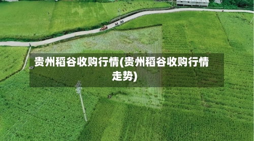 贵州稻谷收购行情(贵州稻谷收购行情走势)-第2张图片