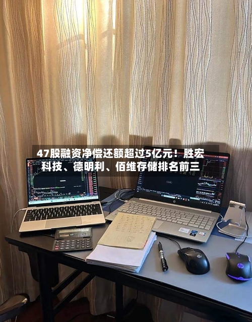 47股融资净偿还额超过5亿元！胜宏科技	、德明利、佰维存储排名前三-第2张图片