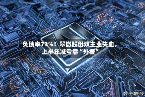 负债率73%！翠微股份双主业失血，上半年减亏靠“外援”-第3张图片
