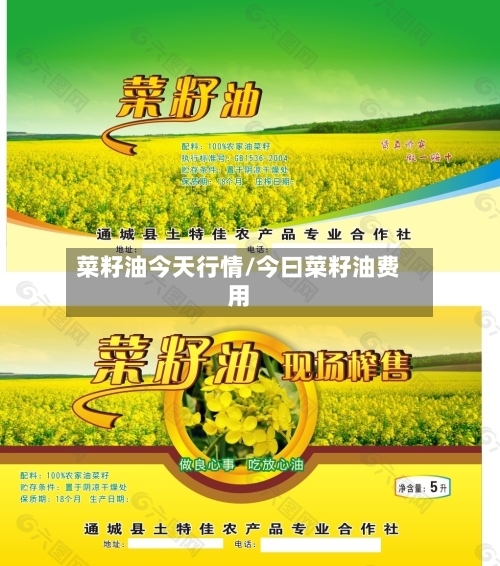 菜籽油今天行情/今曰菜籽油费用