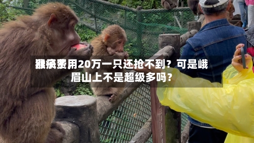 猴子费用涨疯了，20万一只还抢不到？可是峨眉山上不是超级多吗？-第2张图片