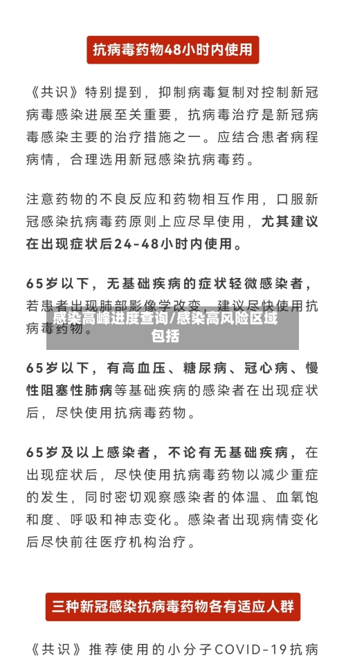感染高峰进度查询/感染高风险区域包括