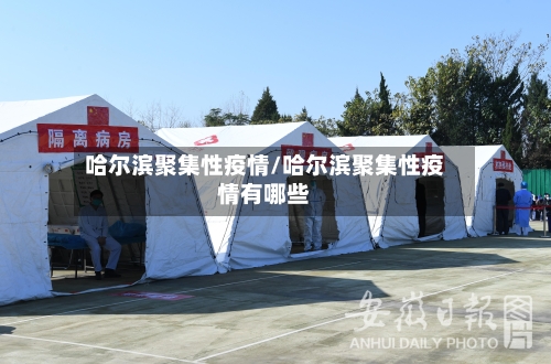 哈尔滨聚集性疫情/哈尔滨聚集性疫情有哪些-第3张图片