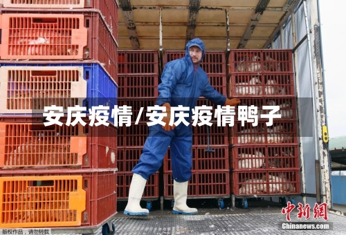 安庆疫情/安庆疫情鸭子