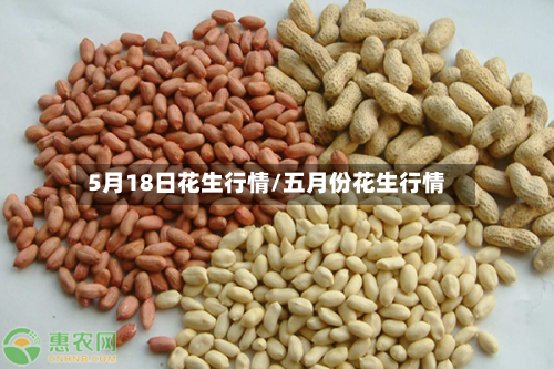 5月18日花生行情/五月份花生行情-第3张图片