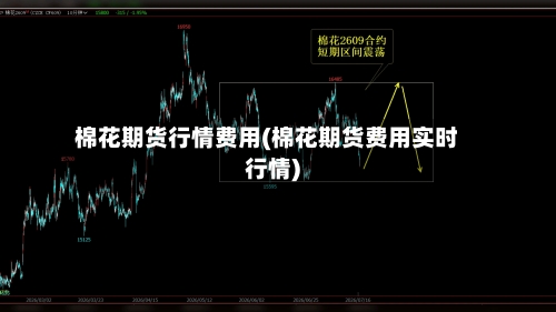 棉花期货行情费用(棉花期货费用实时行情)-第2张图片