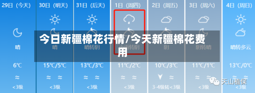 今日新疆棉花行情/今天新疆棉花费用-第2张图片