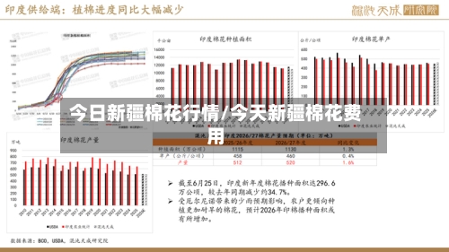 今日新疆棉花行情/今天新疆棉花费用