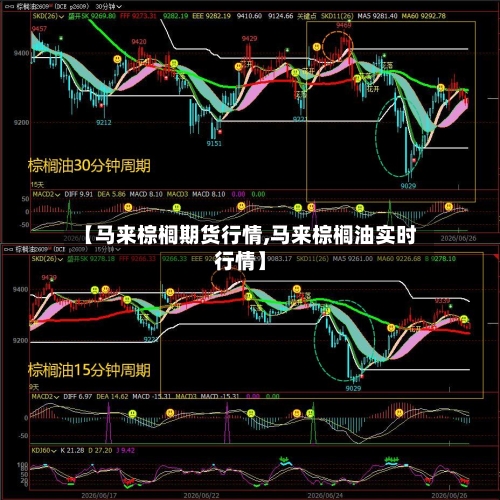 【马来棕榈期货行情,马来棕榈油实时行情】-第3张图片