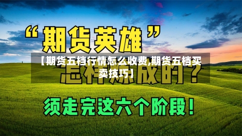 【期货五档行情怎么收费,期货五档买卖技巧】-第3张图片
