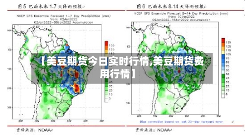 【美豆期货今日实时行情,美豆期货费用行情】