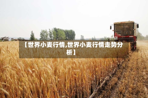 【世界小麦行情,世界小麦行情走势分析】-第3张图片