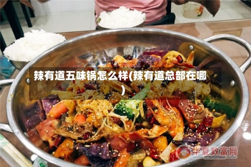 辣有道五味锅怎么样(辣有道总部在哪)-第2张图片