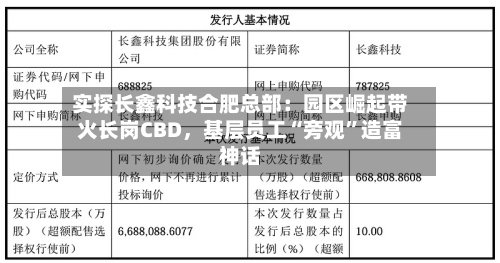 实探长鑫科技合肥总部：园区崛起带火长岗CBD，基层员工“旁观”造富神话-第2张图片