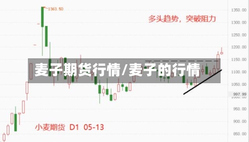 麦子期货行情/麦子的行情-第2张图片