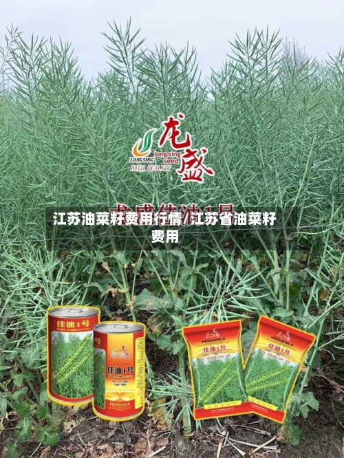 江苏油菜籽费用行情/江苏省油菜籽费用-第2张图片