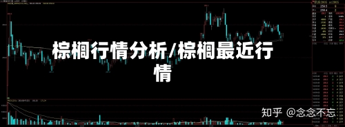 棕榈行情分析/棕榈最近行情