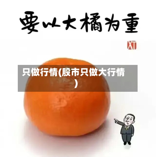 只做行情(股市只做大行情)