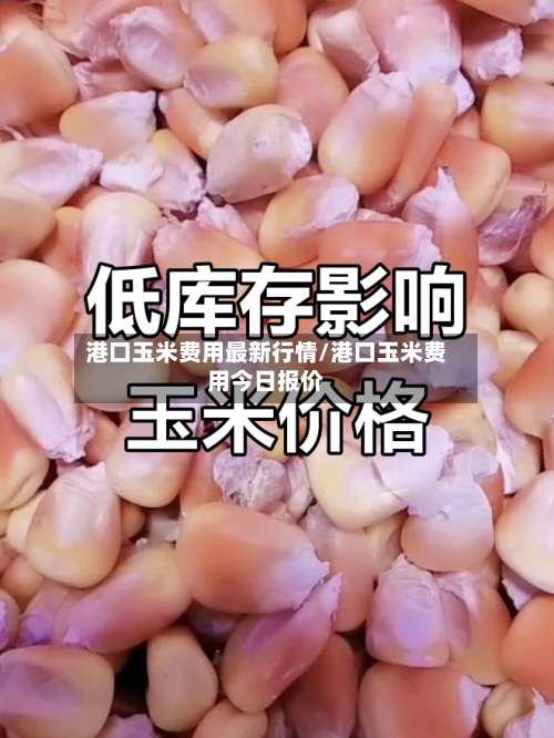 港口玉米费用最新行情/港口玉米费用今日报价-第3张图片