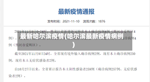 最新哈尔滨疫情(哈尔滨最新疫情病例)-第2张图片