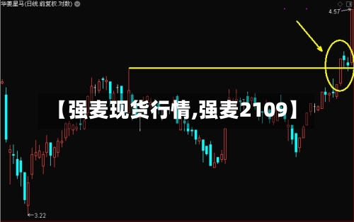 【强麦现货行情,强麦2109】