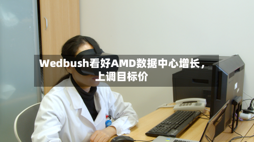 Wedbush看好AMD数据中心增长	，上调目标价-第3张图片