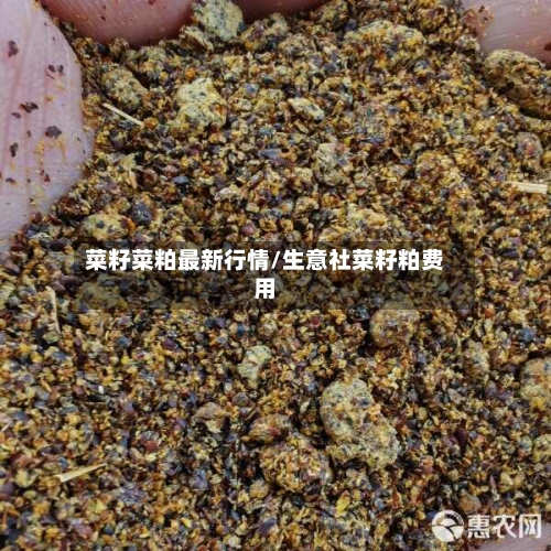 菜籽菜粕最新行情/生意社菜籽粕费用-第3张图片