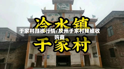 于家村辣椒行情/胶州于家村辣椒收购商