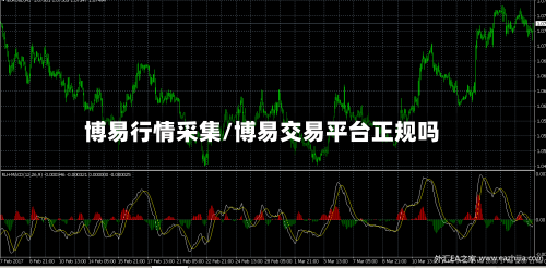 博易行情采集/博易交易平台正规吗-第3张图片