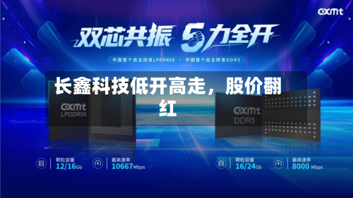 长鑫科技低开高走	，股价翻红-第2张图片