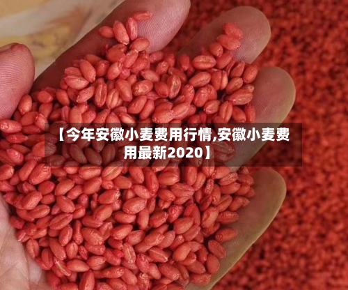 【今年安徽小麦费用行情,安徽小麦费用最新2020】
