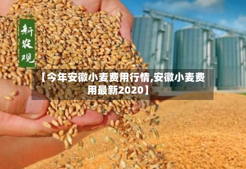 【今年安徽小麦费用行情,安徽小麦费用最新2020】-第2张图片