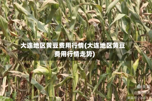 大连地区黄豆费用行情(大连地区黄豆费用行情走势)