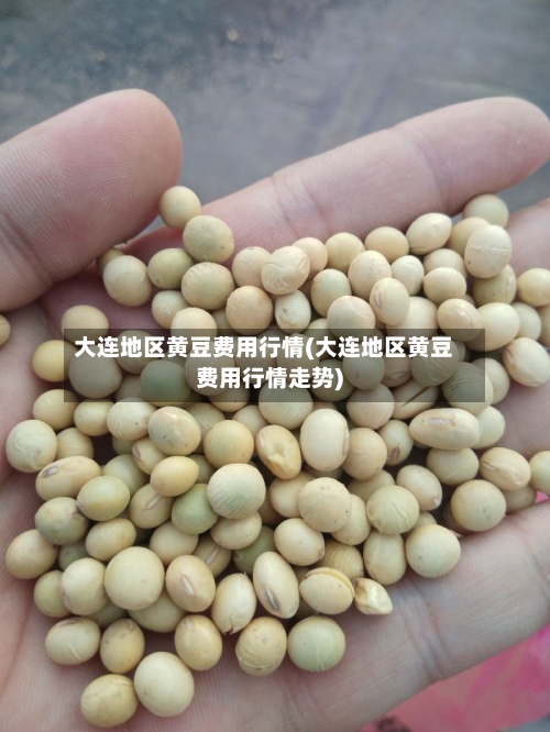 大连地区黄豆费用行情(大连地区黄豆费用行情走势)-第3张图片