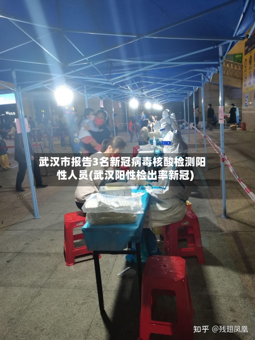武汉市报告3名新冠病毒核酸检测阳性人员(武汉阳性检出率新冠)-第3张图片